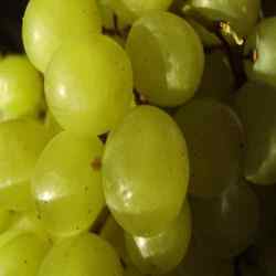 Green Grapes